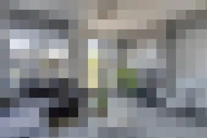 Willem de Zwijgerlaan 88 Woudenberg thumbnail 15