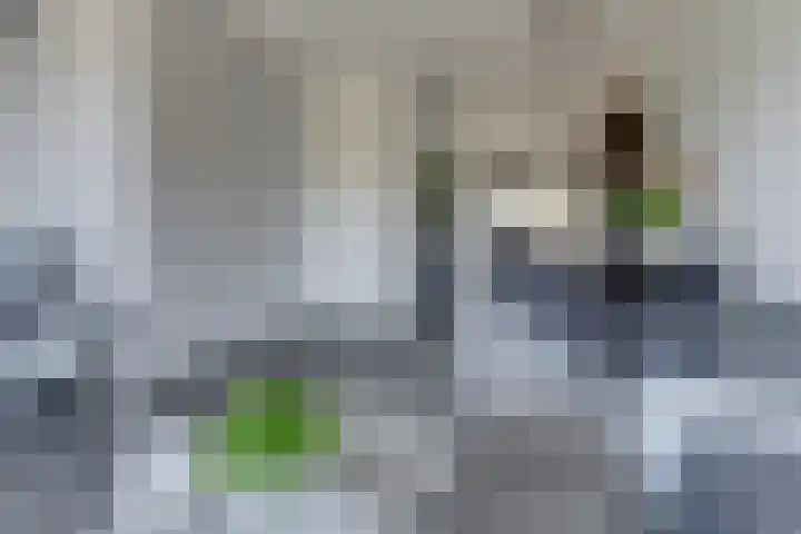 Willem de Zwijgerlaan 88 Woudenberg thumbnail 17