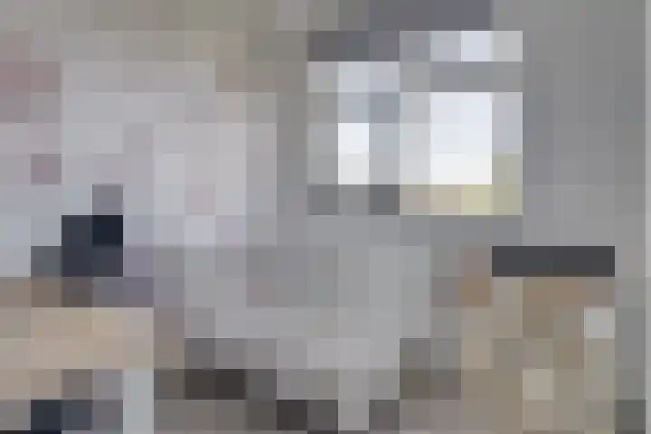 Willem de Zwijgerlaan 88 Woudenberg thumbnail 32