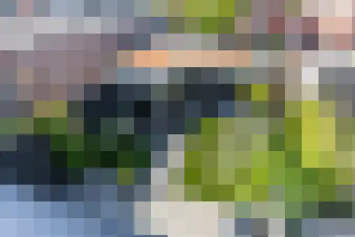Willem de Zwijgerlaan 88 Woudenberg thumbnail 39