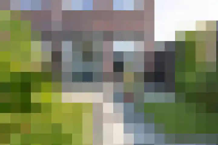 Willem de Zwijgerlaan 88 Woudenberg thumbnail 41