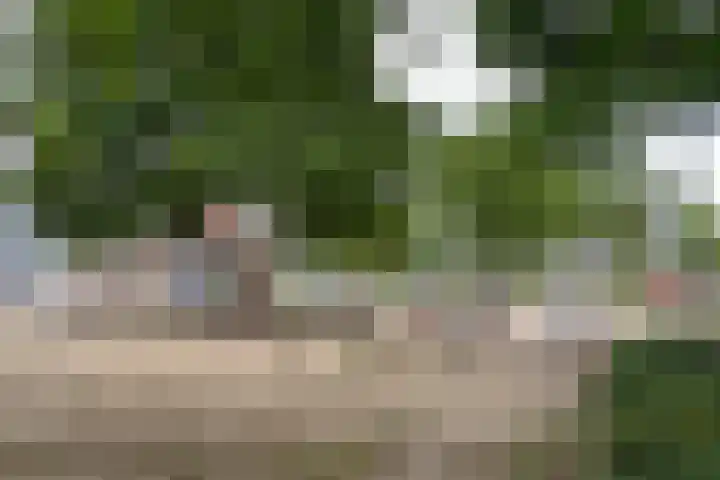 Willem de Zwijgerlaan 88 Woudenberg thumbnail 43