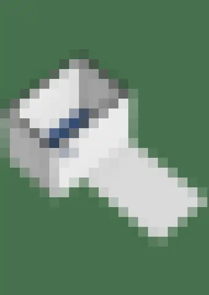 Willem de Zwijgerlaan 88 Woudenberg thumbnail 49