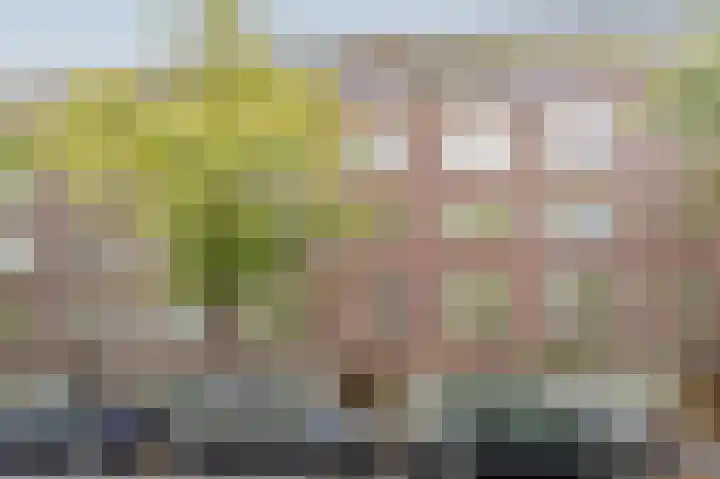 Willem de Zwijgerlaan 89 2 Amsterdam thumbnail 30