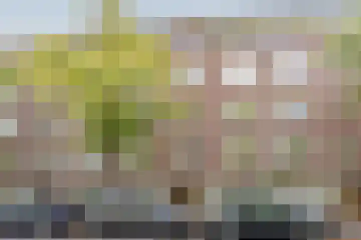 Willem de Zwijgerlaan 89 2 Amsterdam thumbnail 31