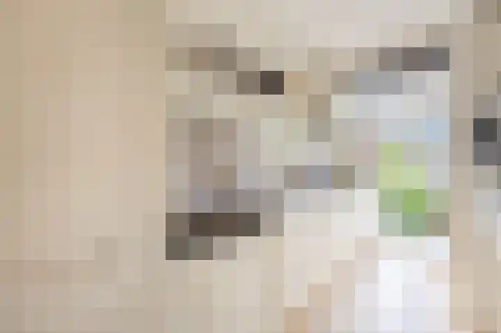 Willem de Zwijgerlaan 89 2 Amsterdam thumbnail 9