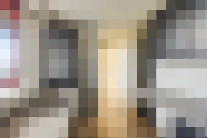 Willem de Zwijgerlaan 89 Schiedam thumbnail 10