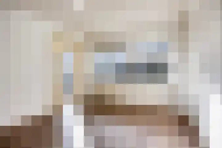 Willem de Zwijgerlaan 89 Schiedam thumbnail 11