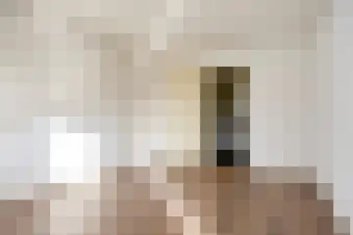 Willem de Zwijgerlaan 89 Schiedam thumbnail 12