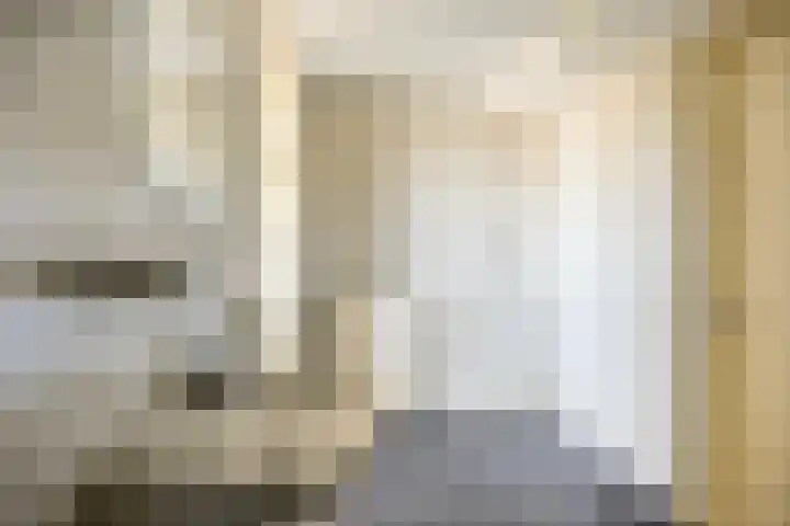 Willem de Zwijgerlaan 89 Schiedam thumbnail 13