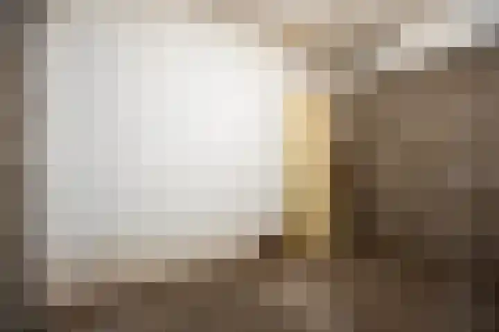 Willem de Zwijgerlaan 89 Schiedam thumbnail 16
