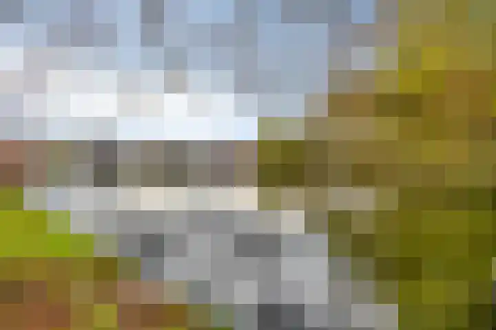 Willem de Zwijgerlaan 89 Schiedam thumbnail 17