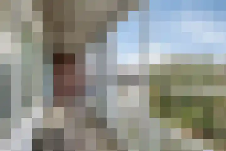 Willem de Zwijgerlaan 89 Schiedam thumbnail 24