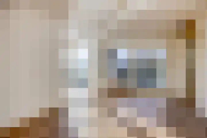 Willem de Zwijgerlaan 89 Schiedam thumbnail 4