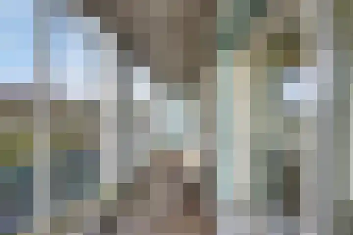 Willem de Zwijgerlaan 89 Schiedam thumbnail 8