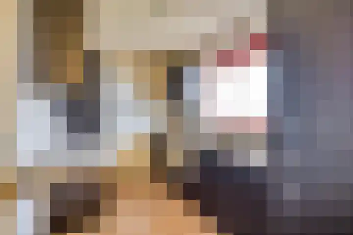Willem de Zwijgerlaan 89 Schiedam thumbnail 9