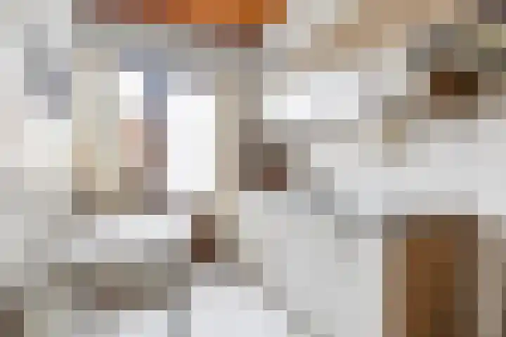 Willem de Zwijgerlaan 9 Hulst thumbnail 10