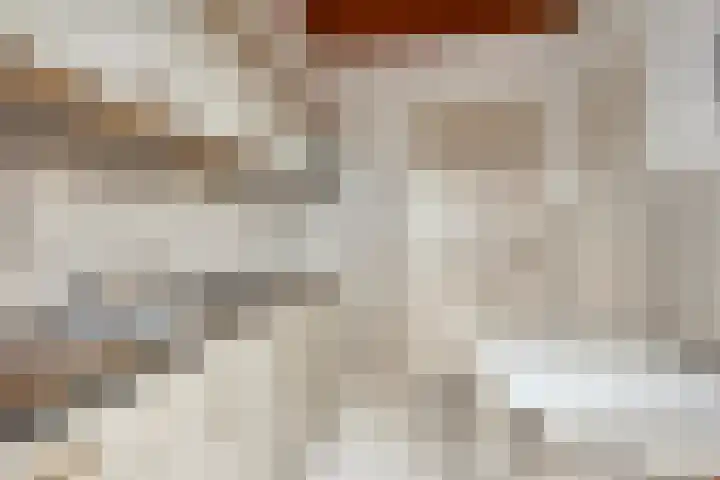 Willem de Zwijgerlaan 9 Hulst thumbnail 11