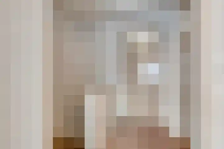 Willem de Zwijgerlaan 9 Hulst thumbnail 12