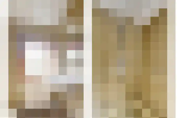 Willem de Zwijgerlaan 9 Hulst thumbnail 13