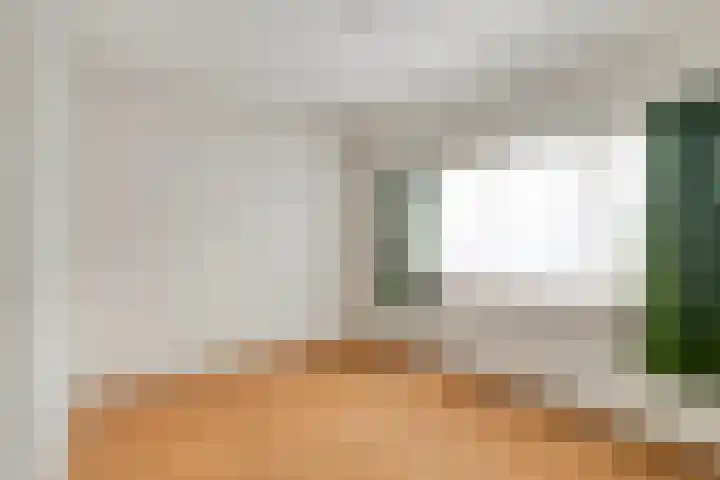 Willem de Zwijgerlaan 9 Hulst thumbnail 14