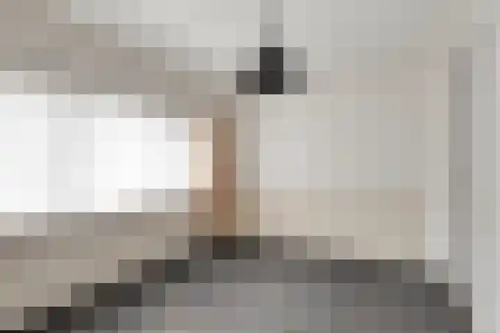 Willem de Zwijgerlaan 9 Hulst thumbnail 15