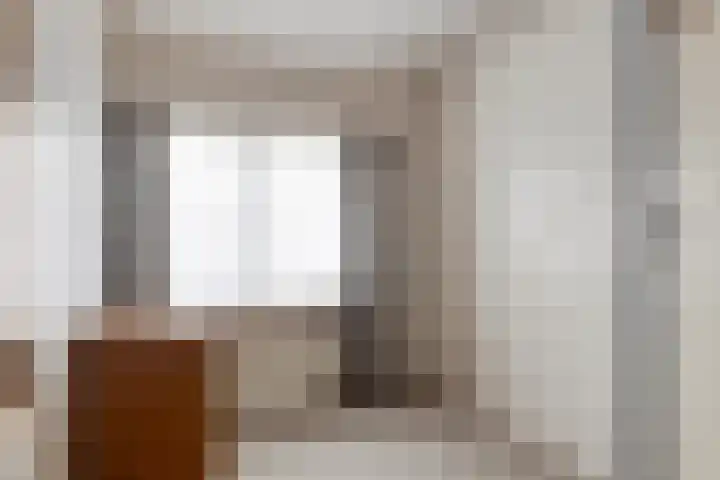 Willem de Zwijgerlaan 9 Hulst thumbnail 16