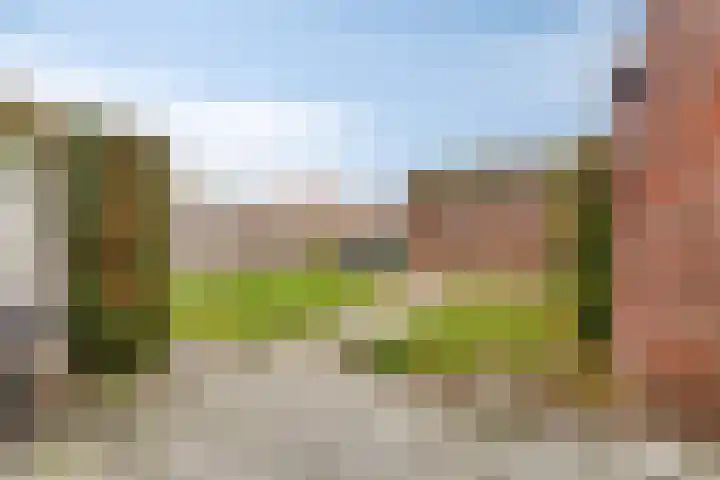 Willem de Zwijgerlaan 9 Hulst thumbnail 17