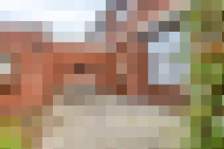 Willem de Zwijgerlaan 9 Hulst thumbnail 18