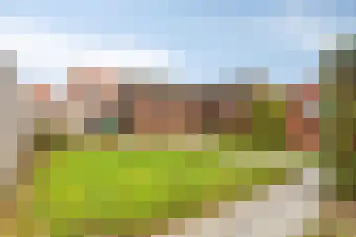 Willem de Zwijgerlaan 9 Hulst thumbnail 19
