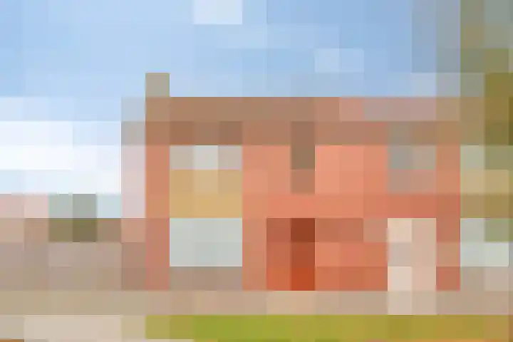 Willem de Zwijgerlaan 9 Hulst foto 2
