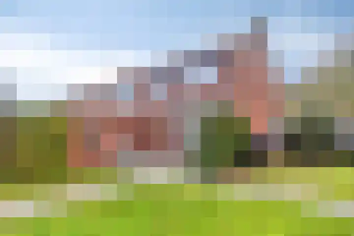 Willem de Zwijgerlaan 9 Hulst thumbnail 20