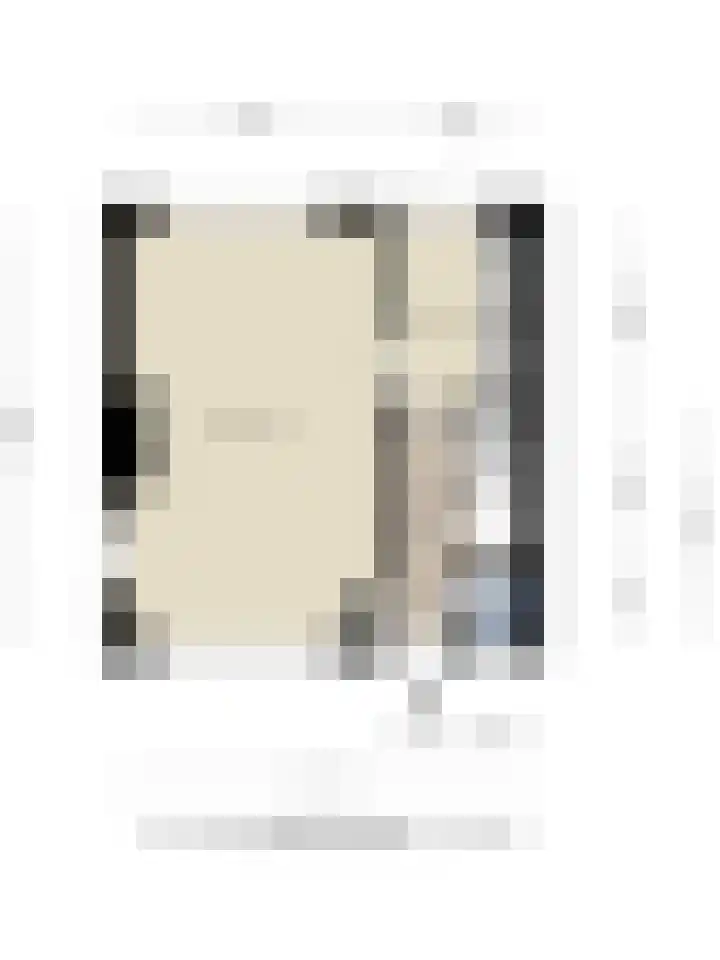 Willem de Zwijgerlaan 9 Hulst thumbnail 21