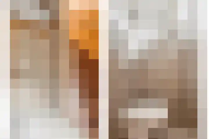 Willem de Zwijgerlaan 9 Hulst thumbnail 4