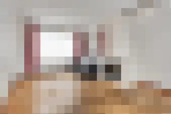 Willem de Zwijgerlaan 9 Hulst thumbnail 5