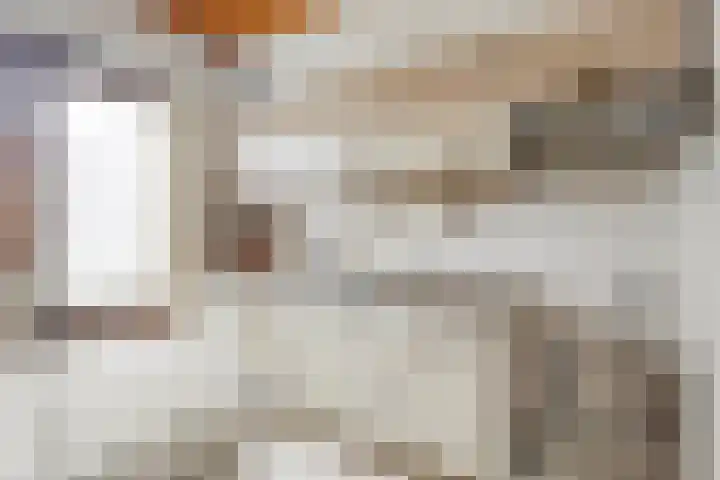 Willem de Zwijgerlaan 9 Hulst thumbnail 9