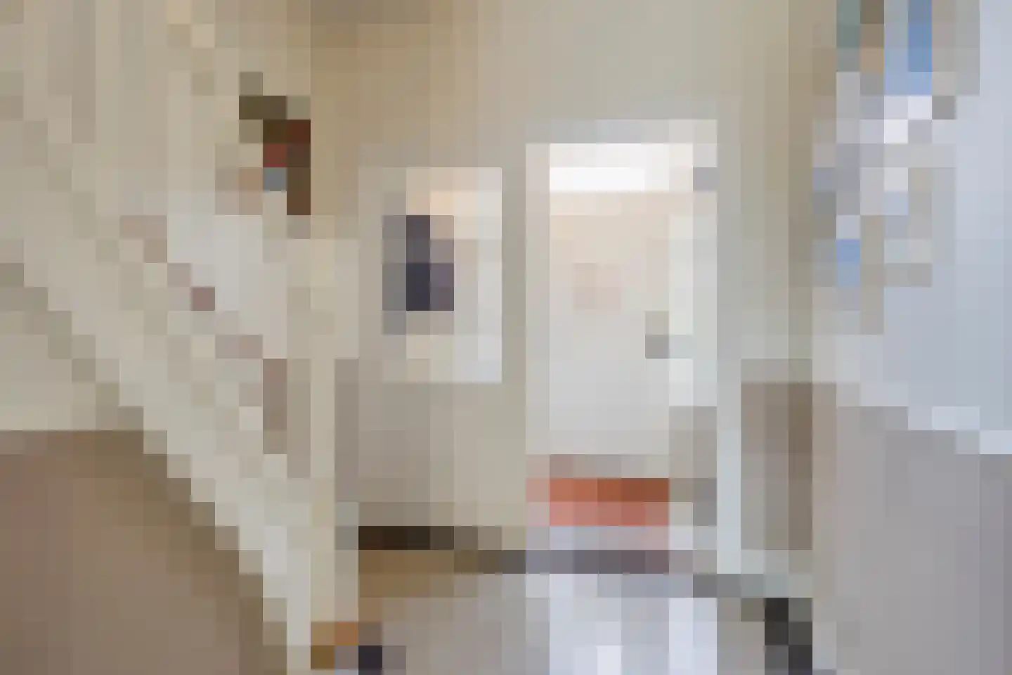 Willem de Zwijgerlaan 9 Oegstgeest thumbnail 10