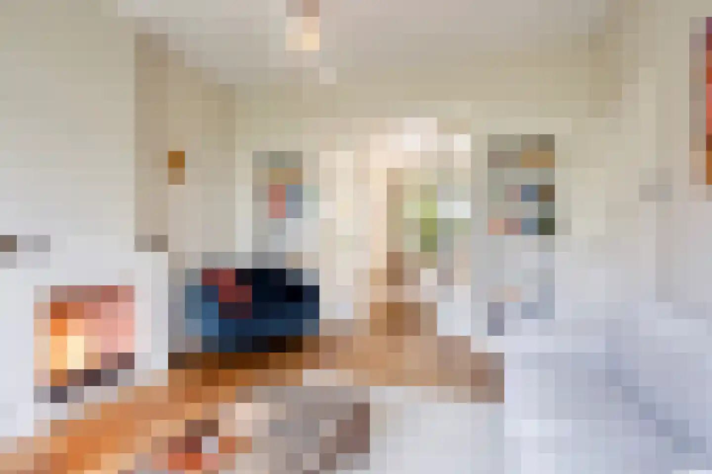 Willem de Zwijgerlaan 9 Oegstgeest thumbnail 14