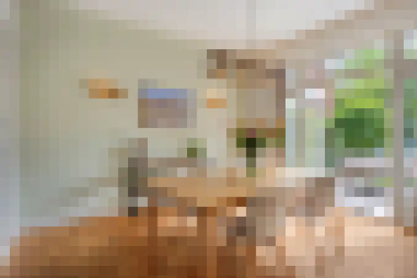 Willem de Zwijgerlaan 9 Oegstgeest thumbnail 16