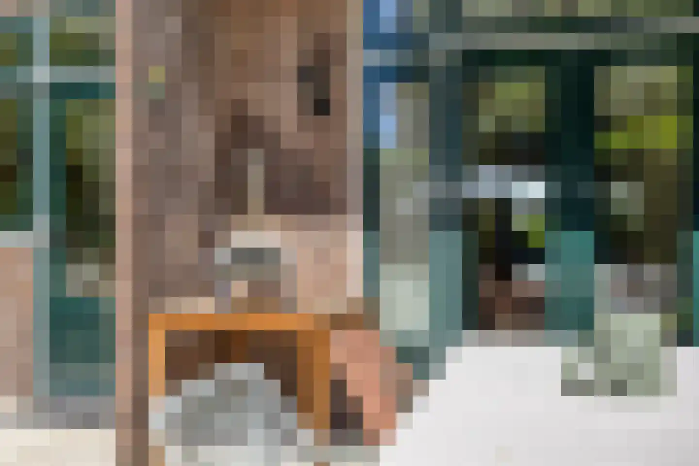 Willem de Zwijgerlaan 9 Oegstgeest thumbnail 21