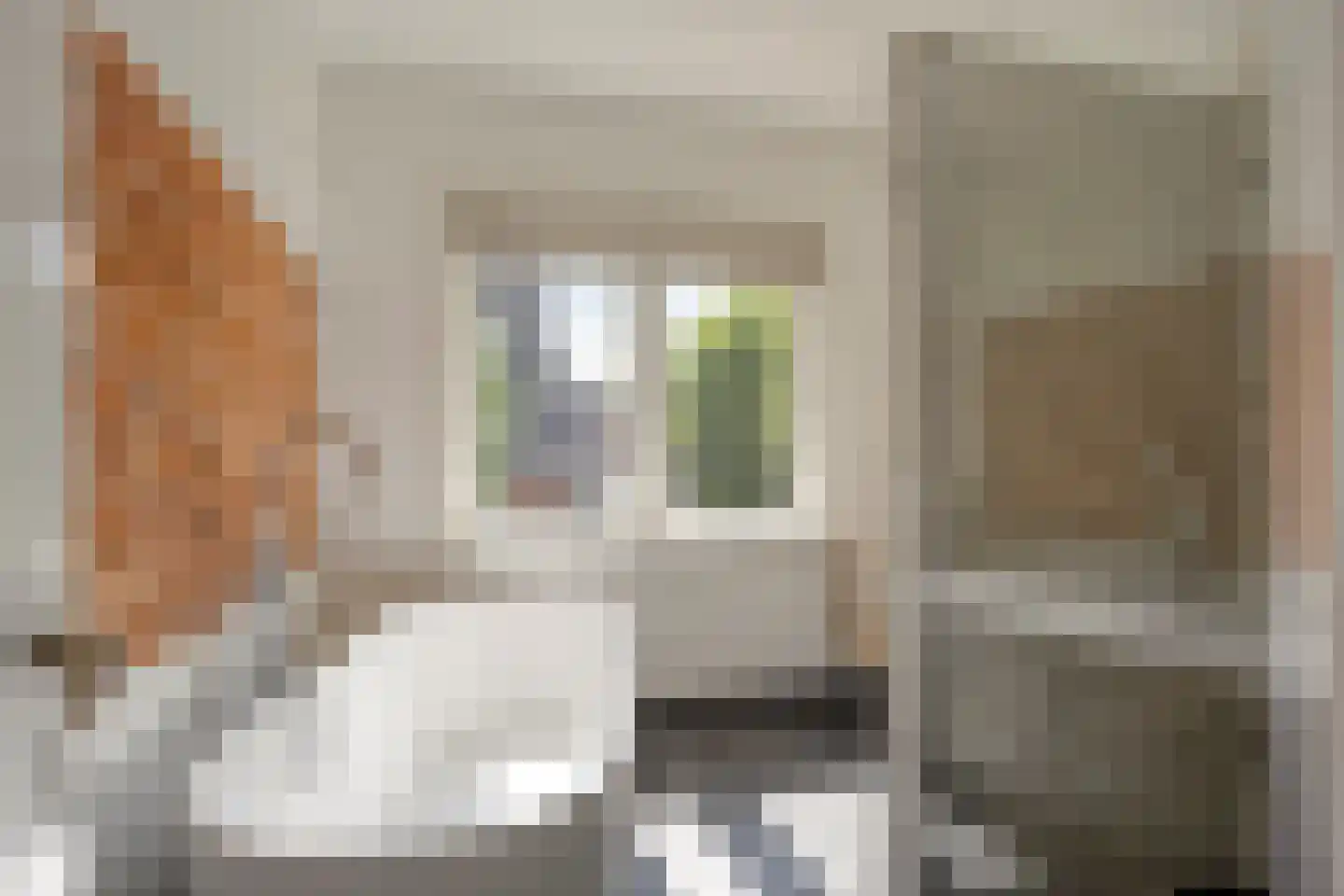 Willem de Zwijgerlaan 9 Oegstgeest thumbnail 27