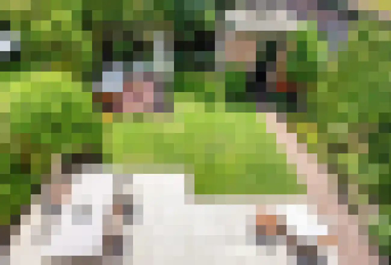 Willem de Zwijgerlaan 9 Oegstgeest thumbnail 31