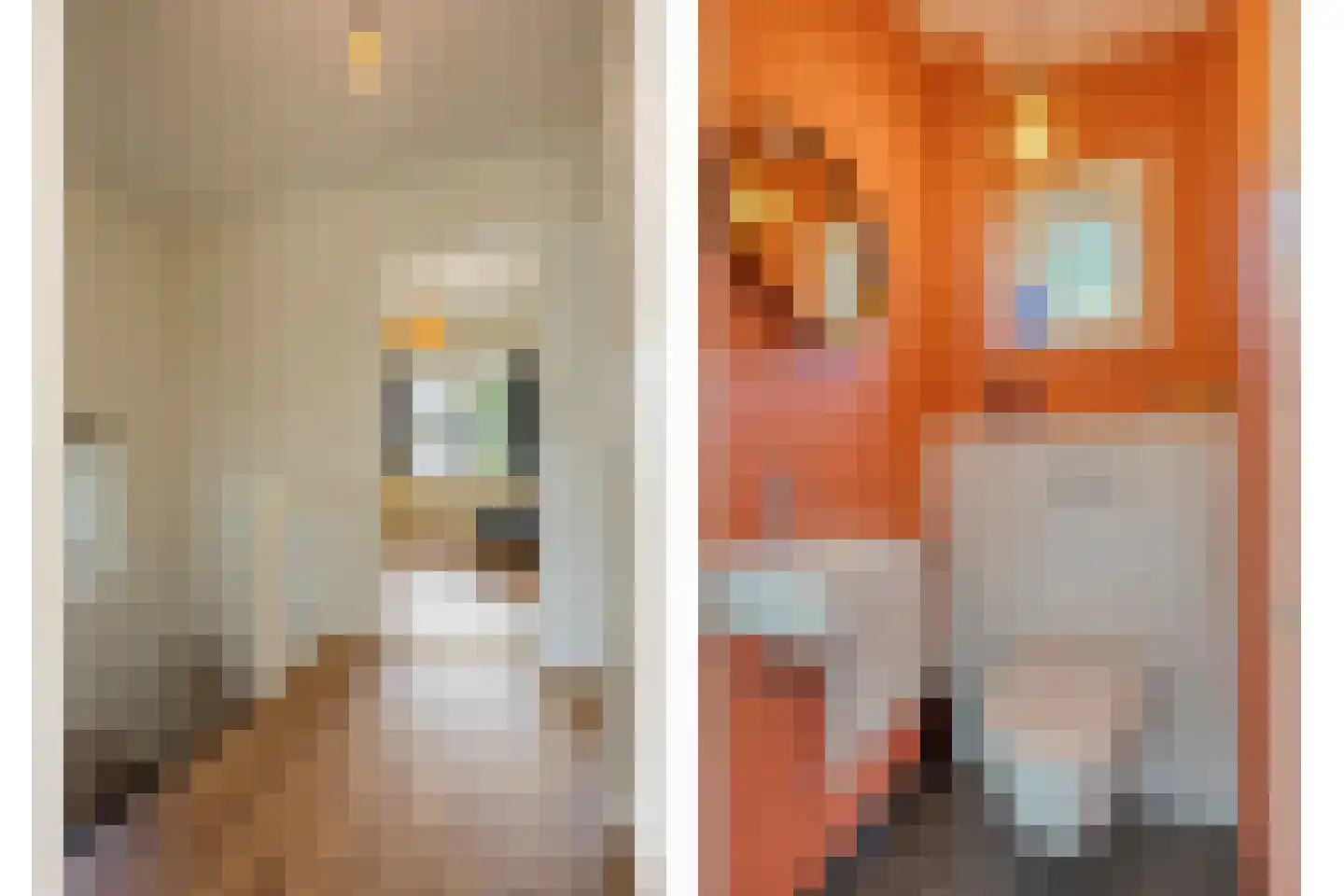 Willem de Zwijgerlaan 9 Oegstgeest thumbnail 32