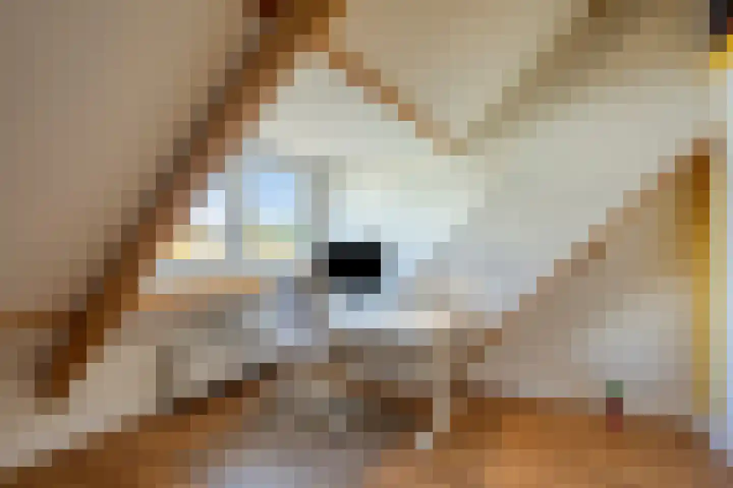 Willem de Zwijgerlaan 9 Oegstgeest thumbnail 36