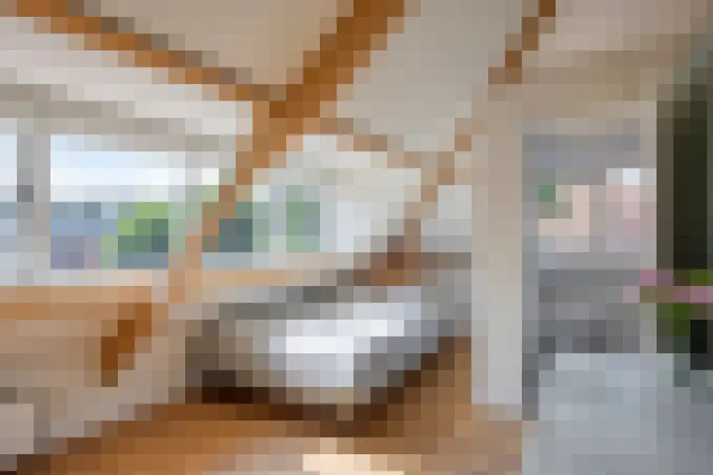 Willem de Zwijgerlaan 9 Oegstgeest thumbnail 41