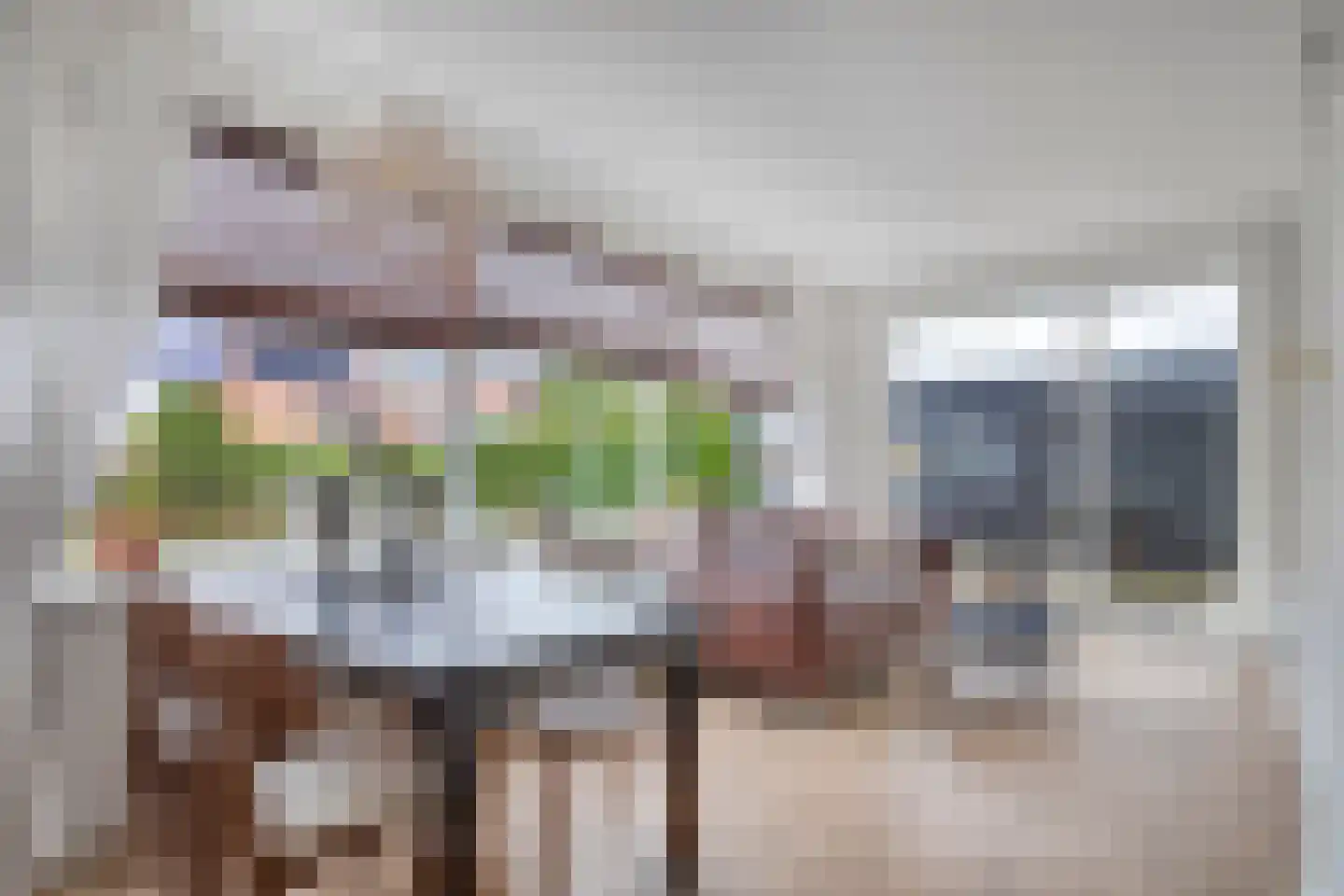 Willem de Zwijgerlaan 9 Woudenberg thumbnail 11