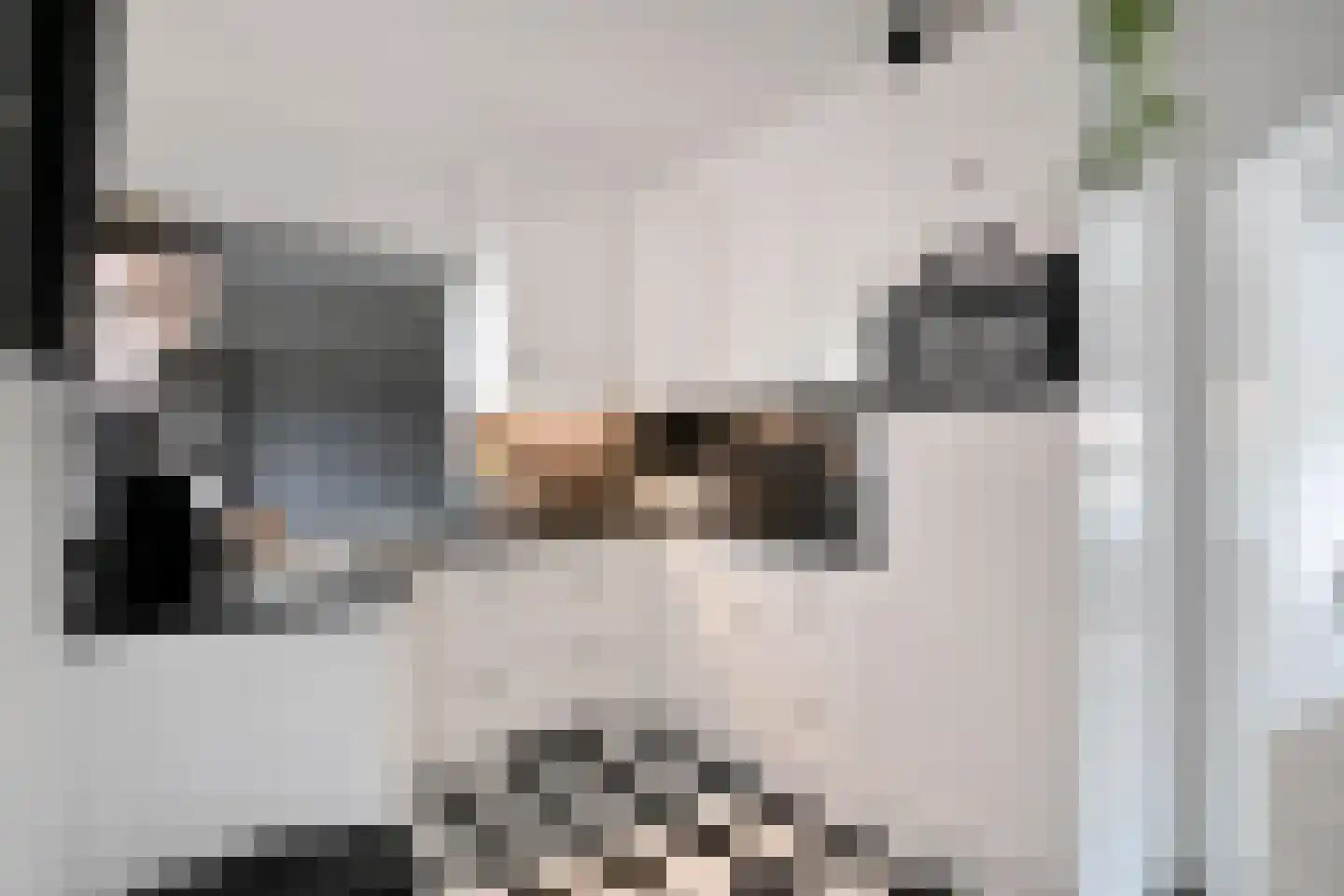 Willem de Zwijgerlaan 9 Woudenberg thumbnail 12