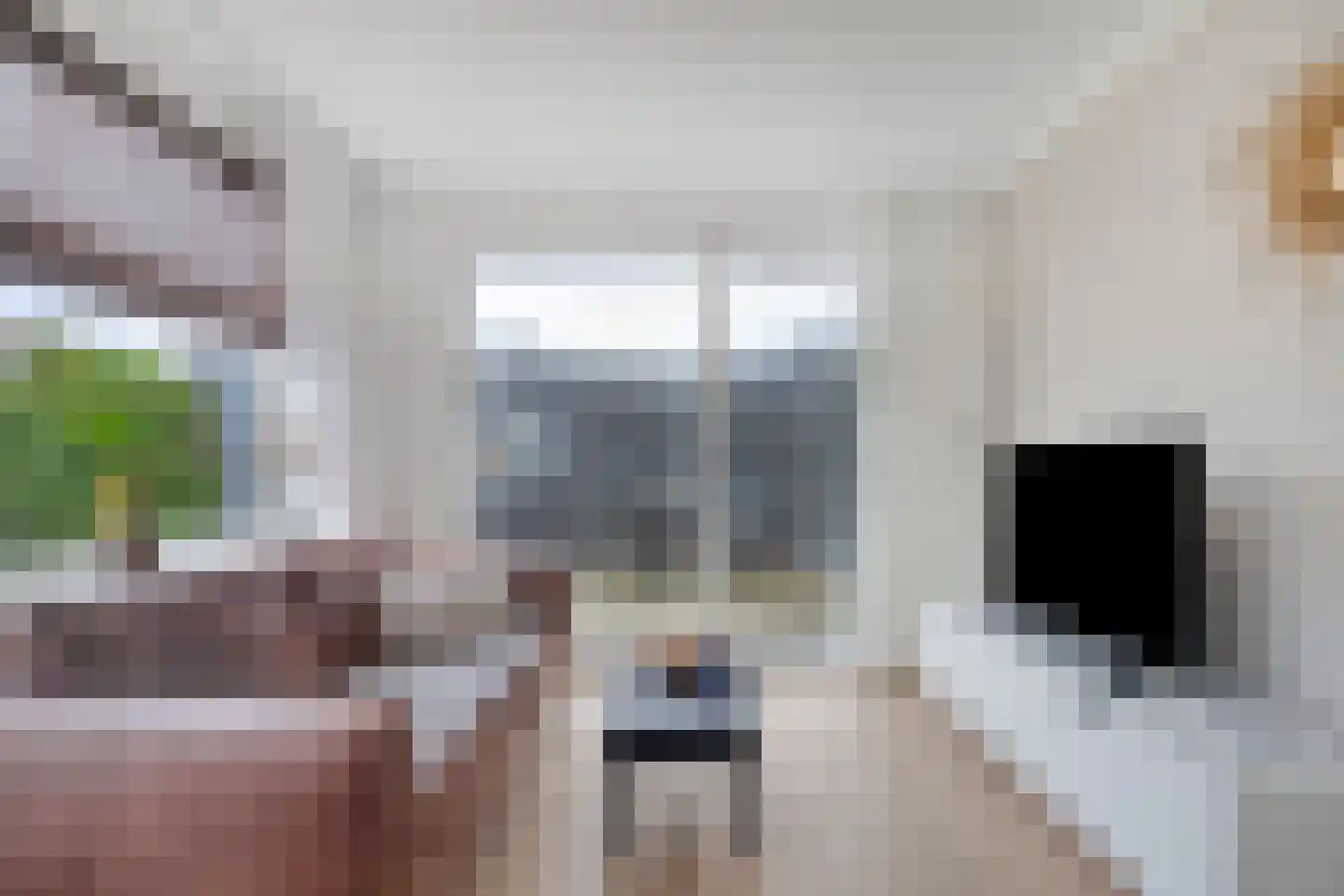 Willem de Zwijgerlaan 9 Woudenberg thumbnail 12