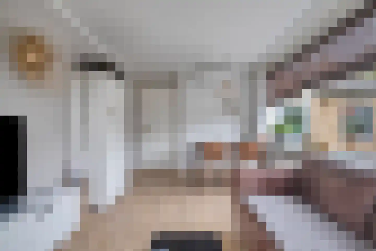 Willem de Zwijgerlaan 9 Woudenberg thumbnail 13