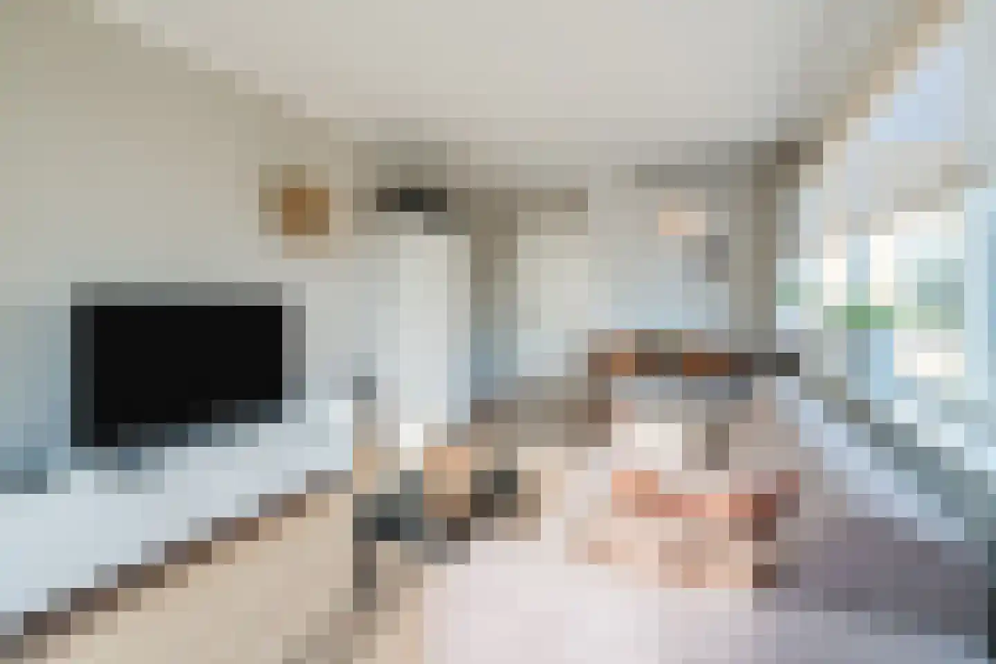 Willem de Zwijgerlaan 9 Woudenberg thumbnail 15